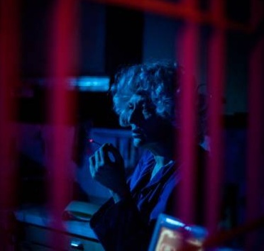 ALFA