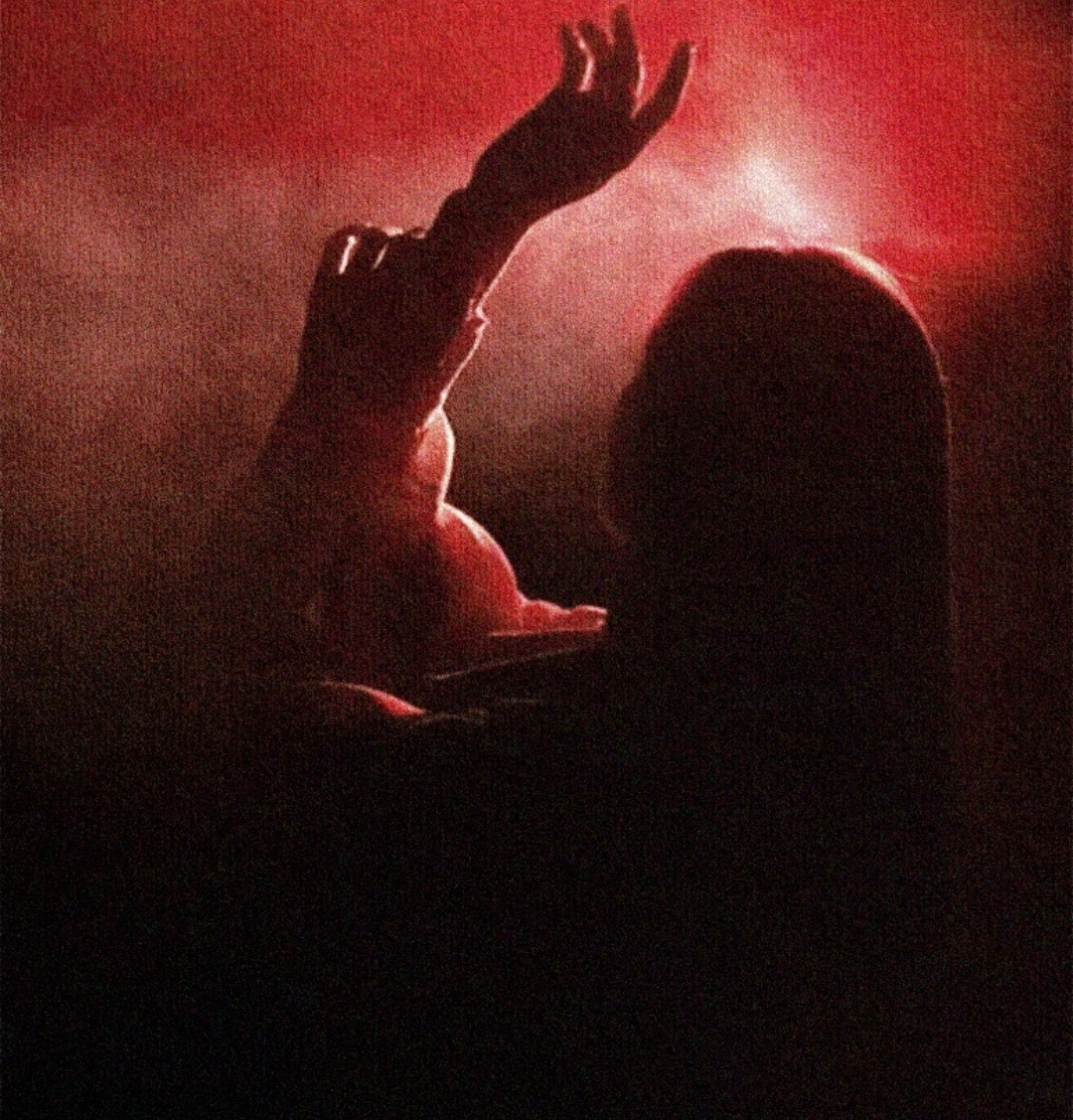 AUTO DE FE ENTRE BAMBALINAS