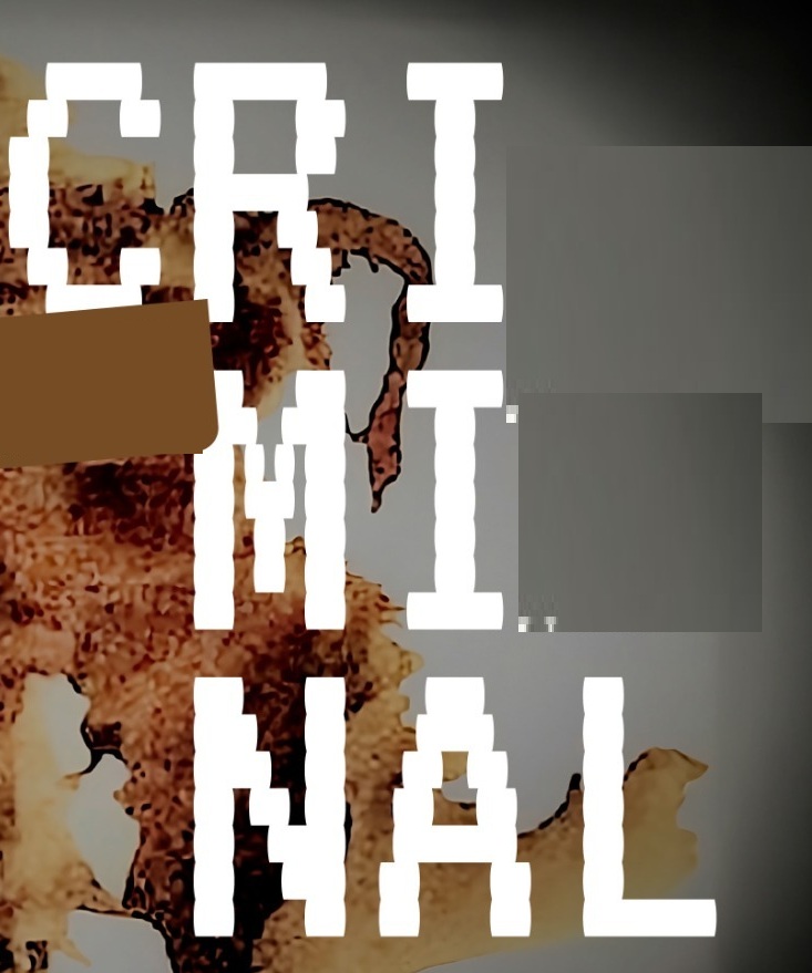 CRIMINAL