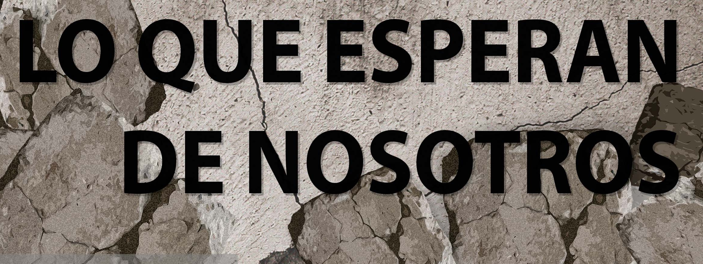 LO QUE ESPERAN DE NOSOTROS