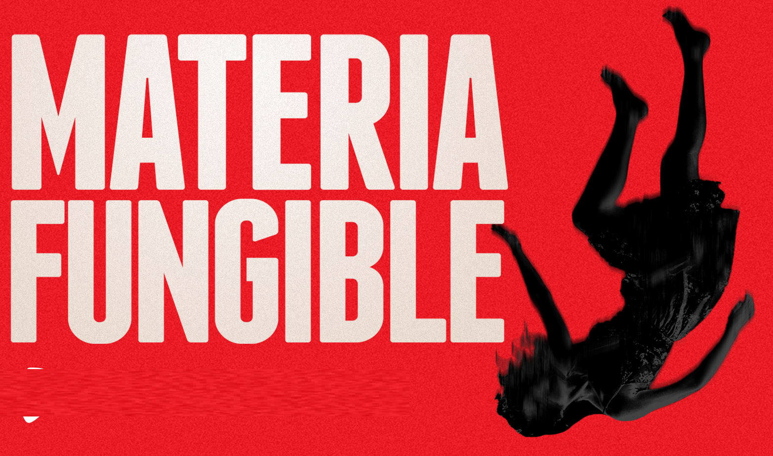 MATERIA FUNGIBLE